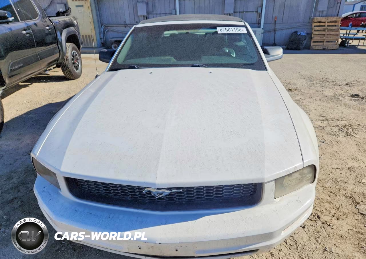 2005 Ford Mustang VIN:1ZVFT84N255242866 - 5
