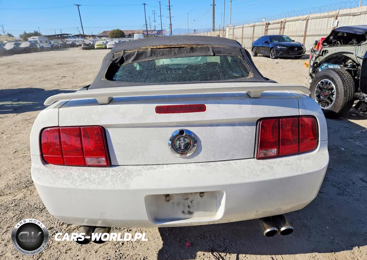 2005 Ford Mustang VIN:1ZVFT84N255242866 - 6