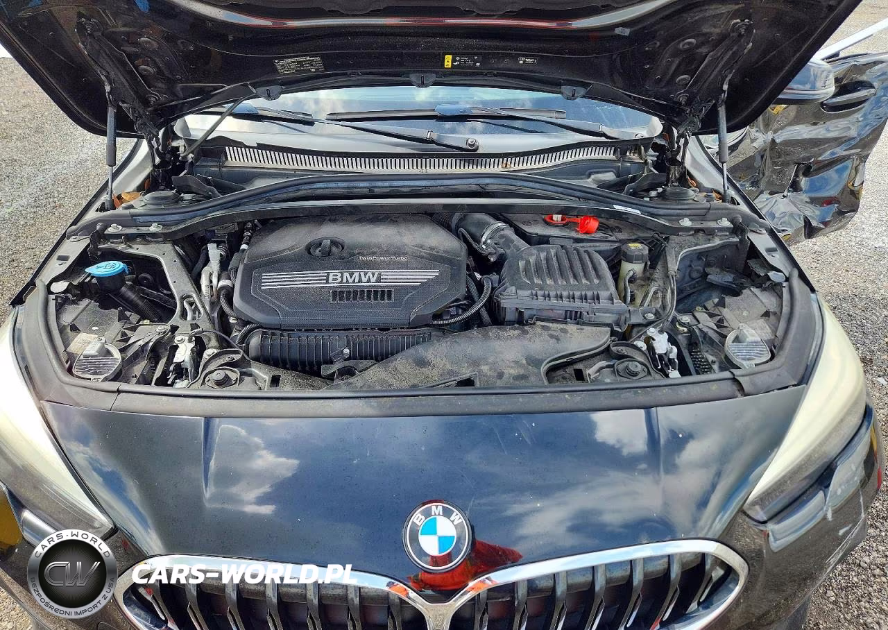 2021 BMW 228I VIN:WBA53AK07M7H47172 - 11
