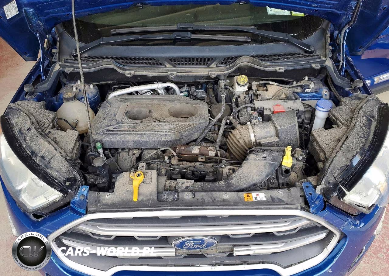 2019 Ford Ecosport Se VIN:MAJ6S3GL9KC279087 - 12
