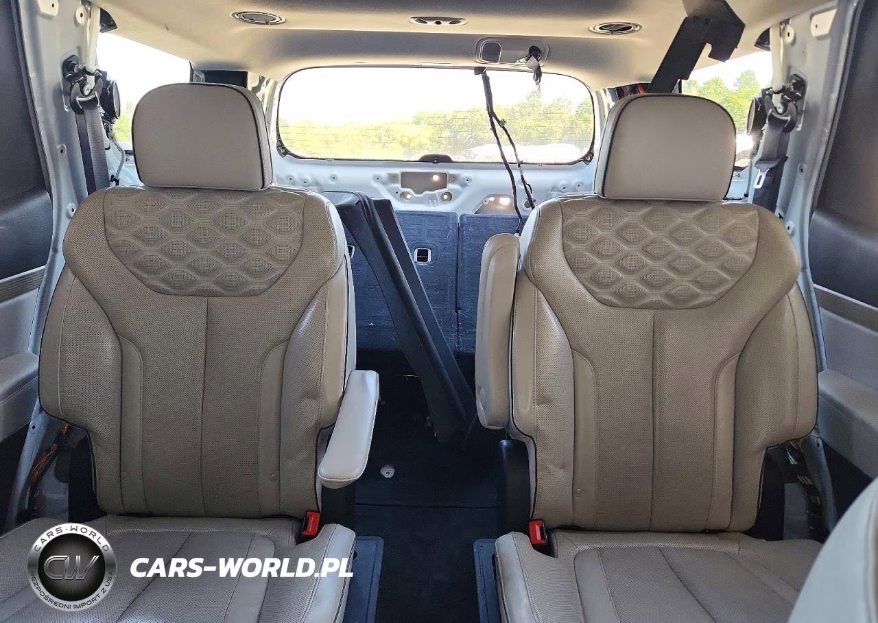 2021 Hyundai Palisade Limited VIN:KM8R5DHE7MU239765 - 10