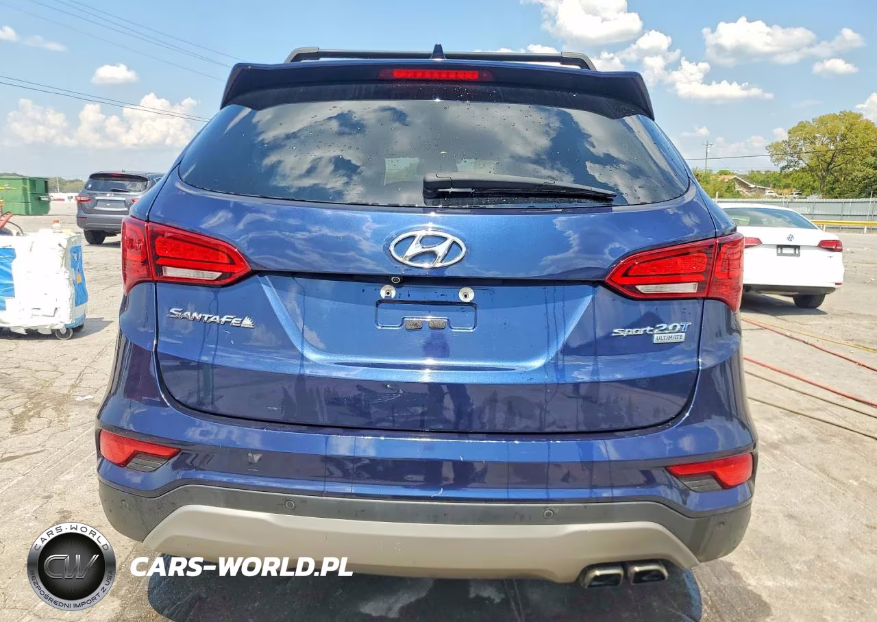 2017 Hyundai Santa Fe Sport VIN:5XYZW4LA0HG484744 - 6