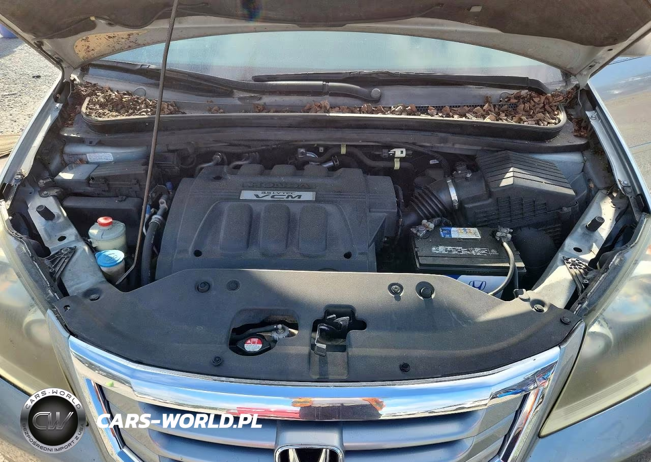 2009 Honda Odyssey Exl VIN:5FNRL38739B006293 - 12