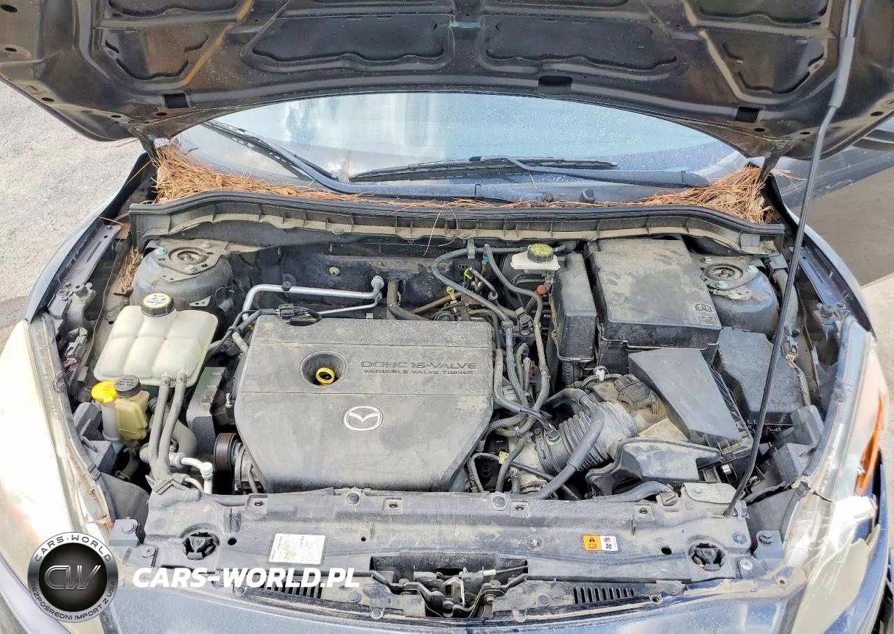 2010 Mazda 3 I VIN:JM1BL1SG2A1318763 - 11