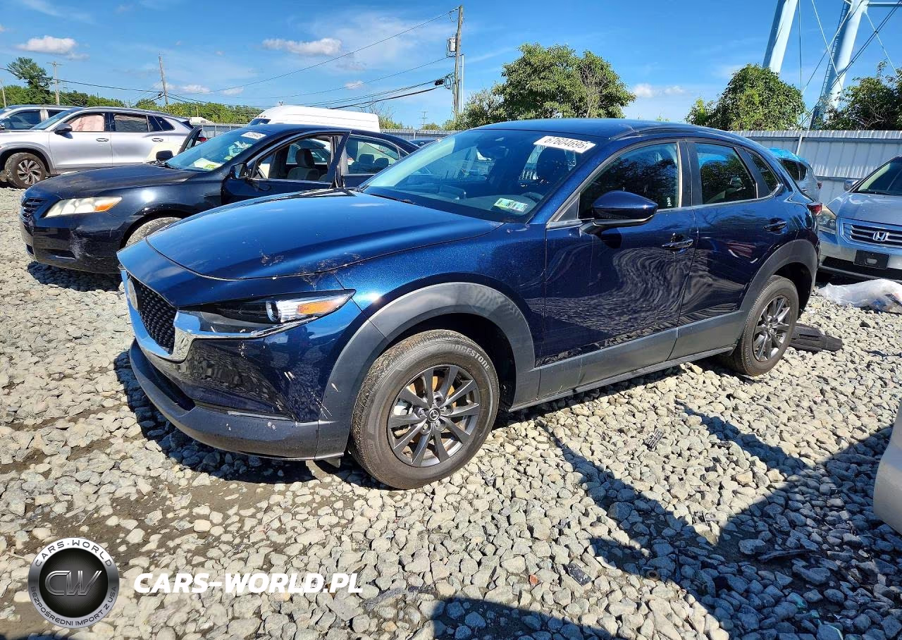 2023 Mazda Cx-30 VIN:3MVDMBAM6PM536234 - 1