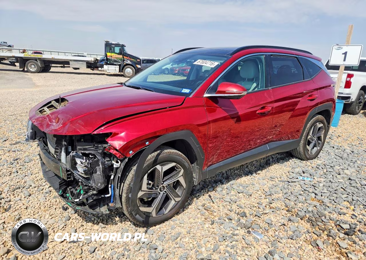 2024 Hyundai Tucson Limited VIN:5NMJECDE5RH414496 - 1