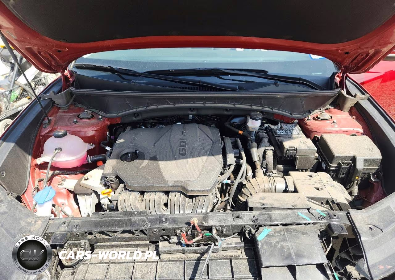2024 Hyundai Tucson Limited VIN:5NMJECDE5RH414496 - 12