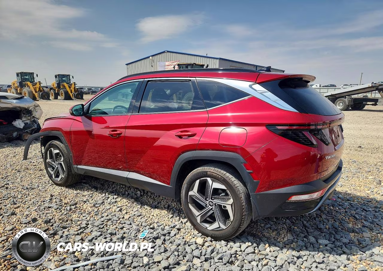 2024 Hyundai Tucson Limited VIN:5NMJECDE5RH414496 - 2