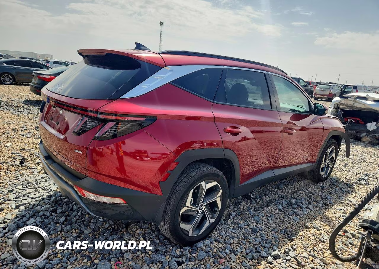 2024 Hyundai Tucson Limited VIN:5NMJECDE5RH414496 - 3