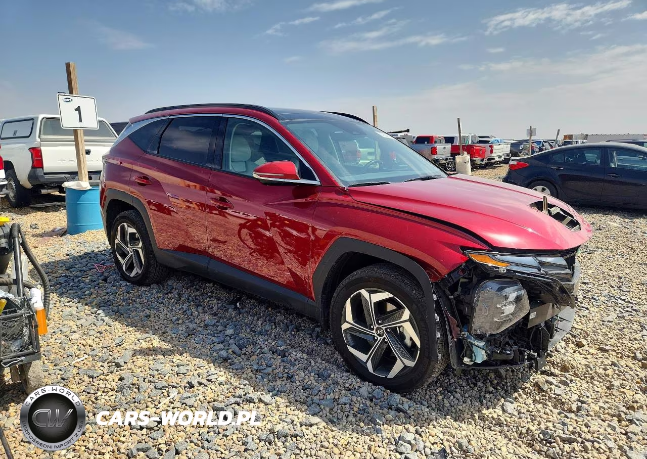 2024 Hyundai Tucson Limited VIN:5NMJECDE5RH414496 - 4