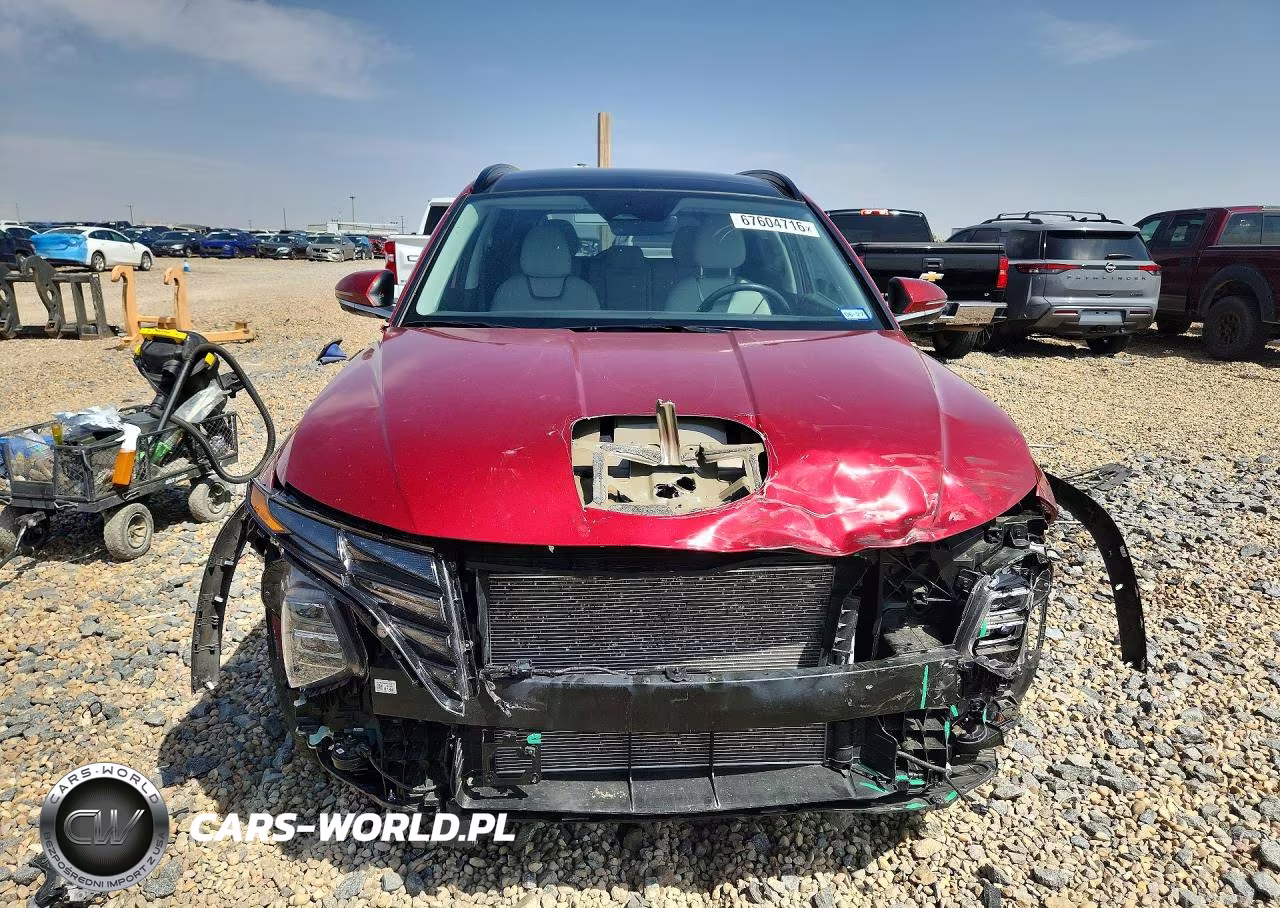 2024 Hyundai Tucson Limited VIN:5NMJECDE5RH414496 - 5