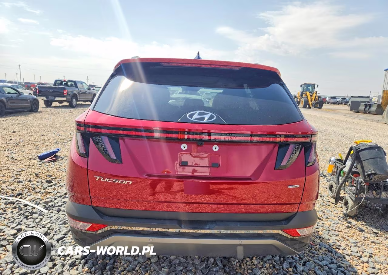 2024 Hyundai Tucson Limited VIN:5NMJECDE5RH414496 - 6