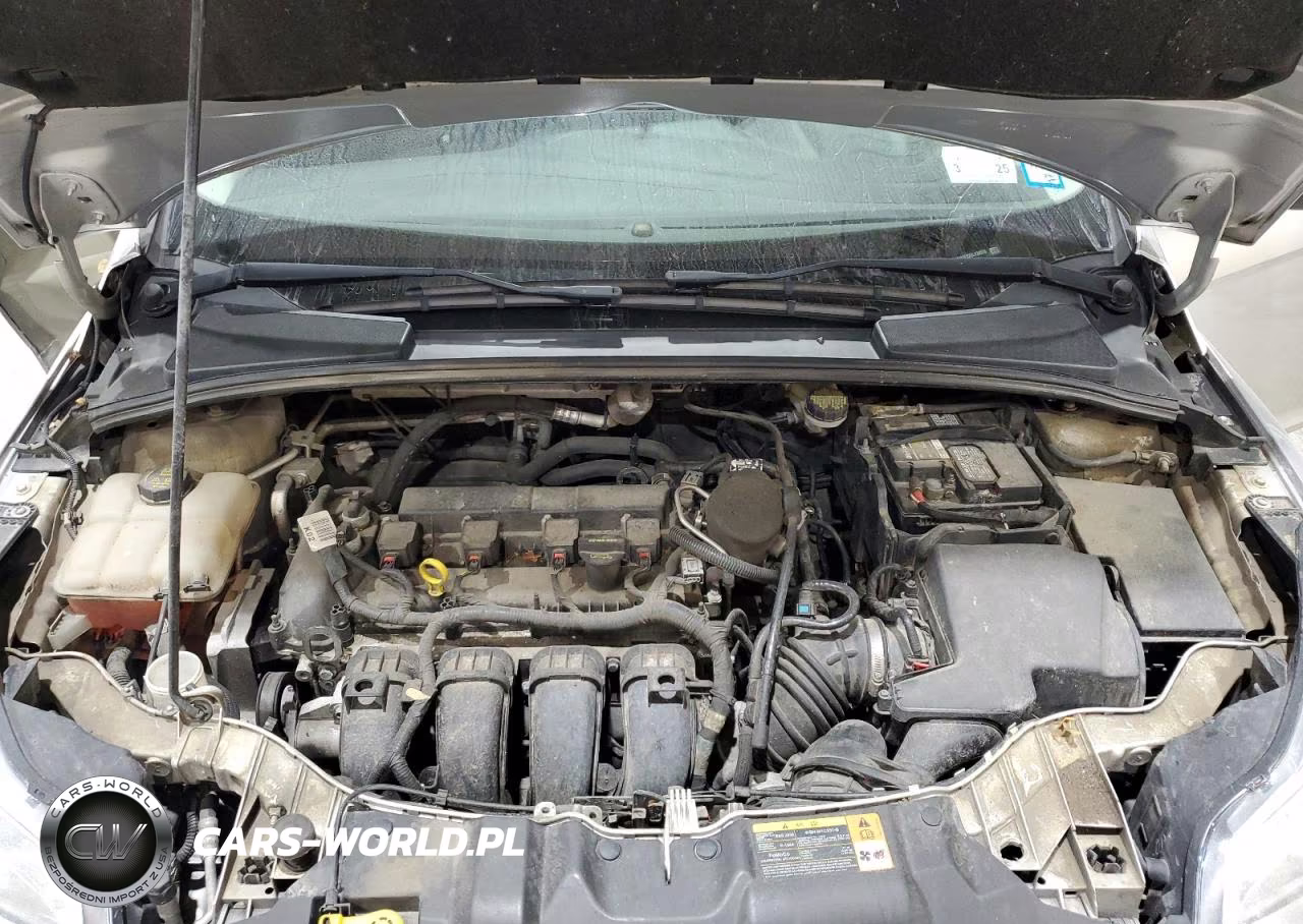 2014 Ford Focus Se VIN:1FADP3F2XEL128376 - 11