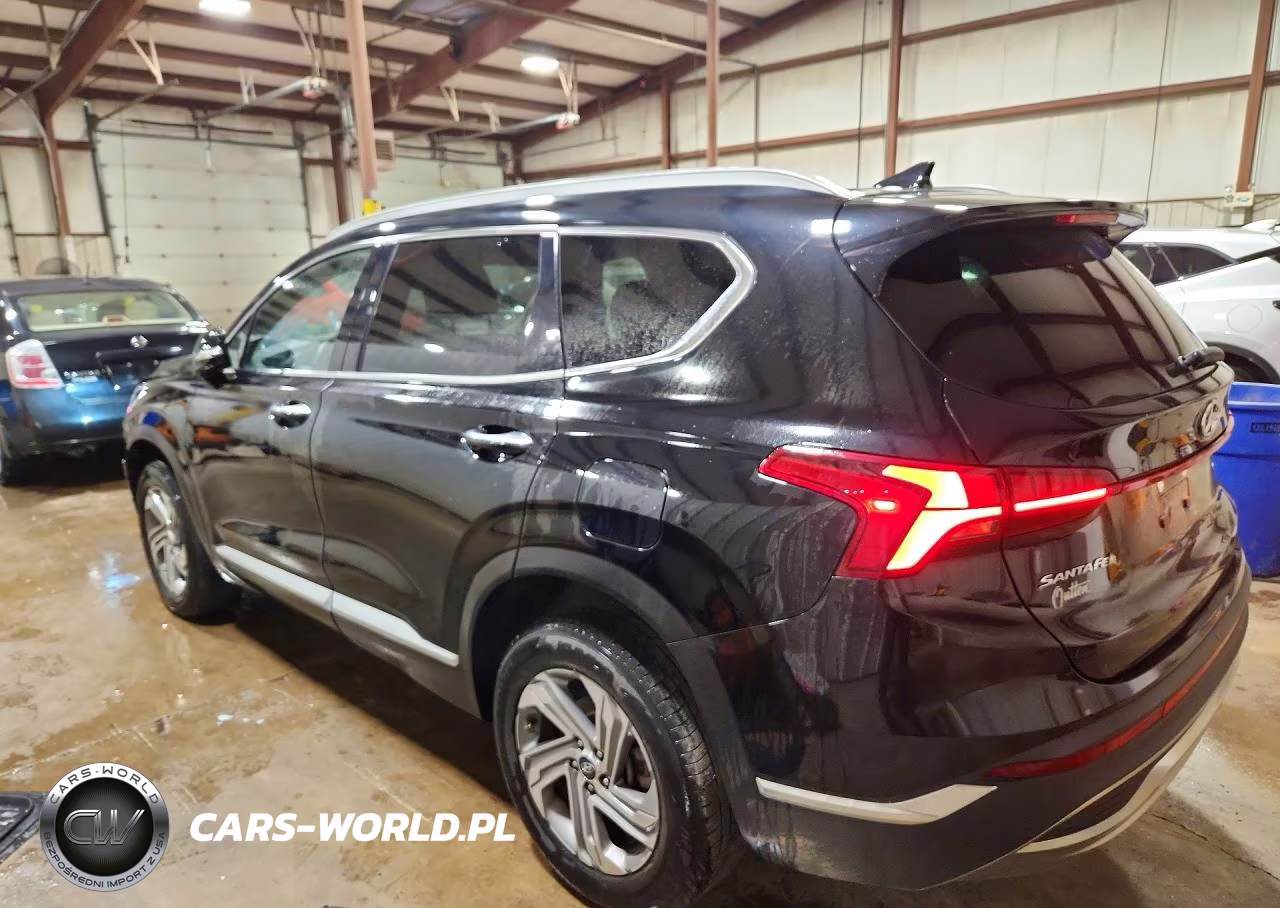 2021 Hyundai Santa Fe Sel VIN:5NMS6DAJXMH311219 - 2