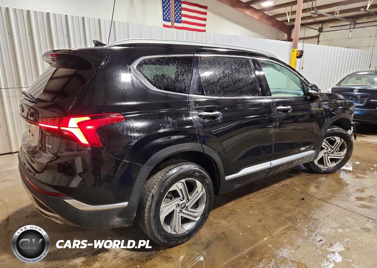 2021 Hyundai Santa Fe Sel VIN:5NMS6DAJXMH311219 - 3