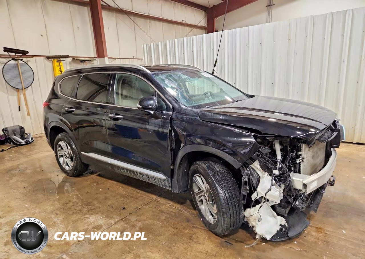 2021 Hyundai Santa Fe Sel VIN:5NMS6DAJXMH311219 - 4