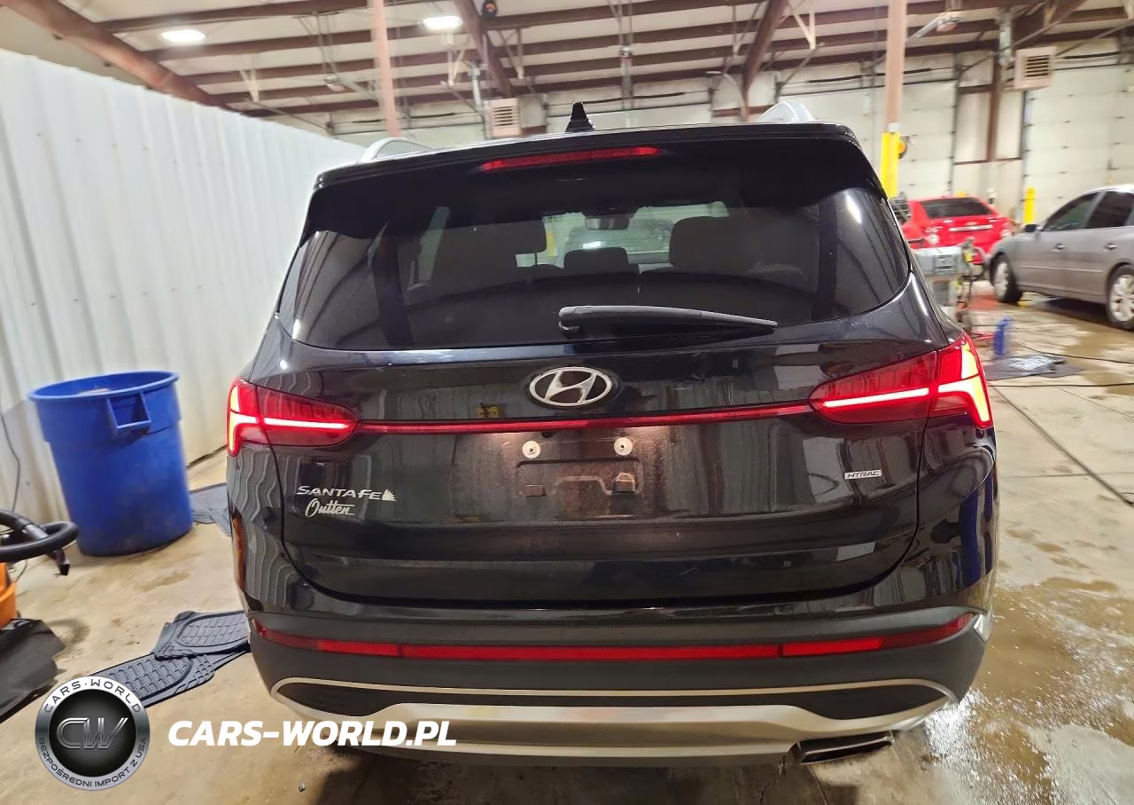 2021 Hyundai Santa Fe Sel VIN:5NMS6DAJXMH311219 - 6