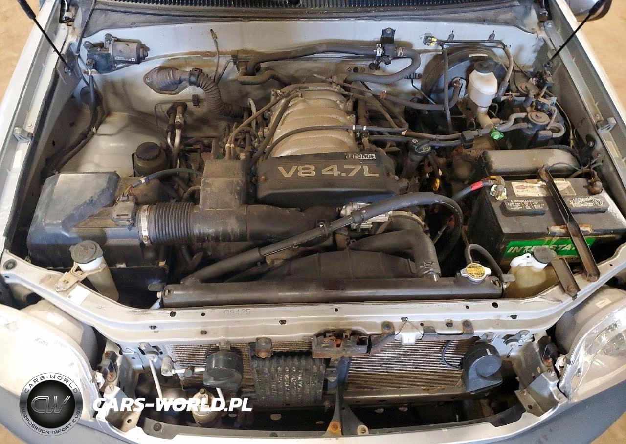 2002 Toyota Tundra Sr5 V8 VIN:5TBBT44102S273426 - 11