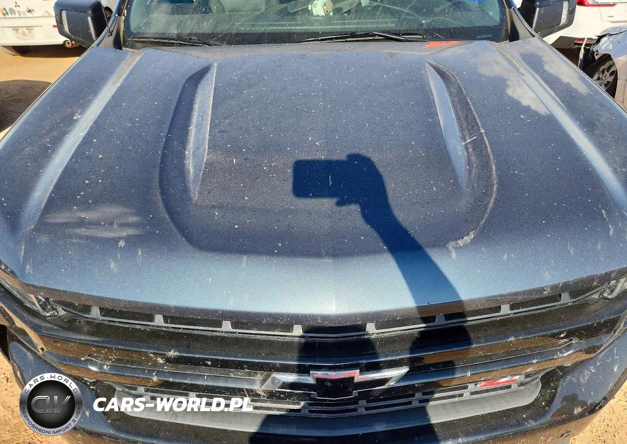 2020 Chevrolet Silverado K1500 Lt Trail Boss VIN:3GCPYFED5LG118096 - 11