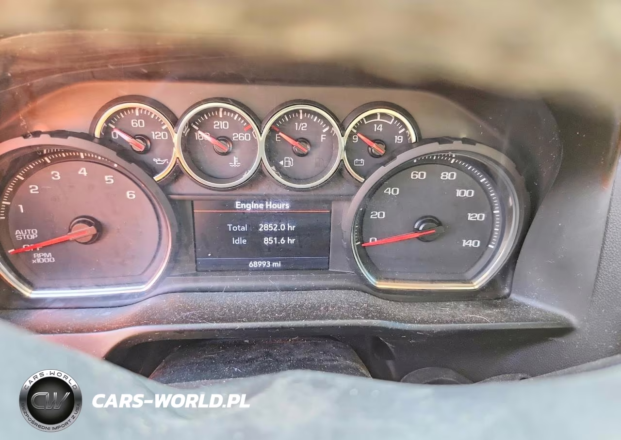 2020 Chevrolet Silverado K1500 Lt Trail Boss VIN:3GCPYFED5LG118096 - 9
