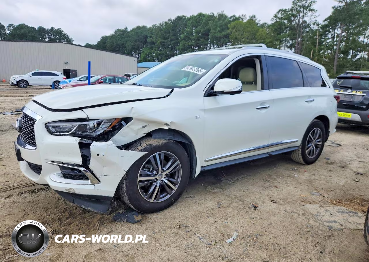 2019 Infiniti Qx60 Luxe VIN:5N1DL0MM3KC508921 - 1