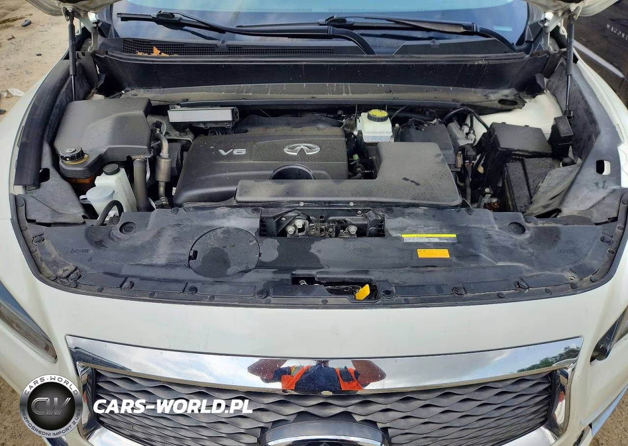 2019 Infiniti Qx60 Luxe VIN:5N1DL0MM3KC508921 - 12