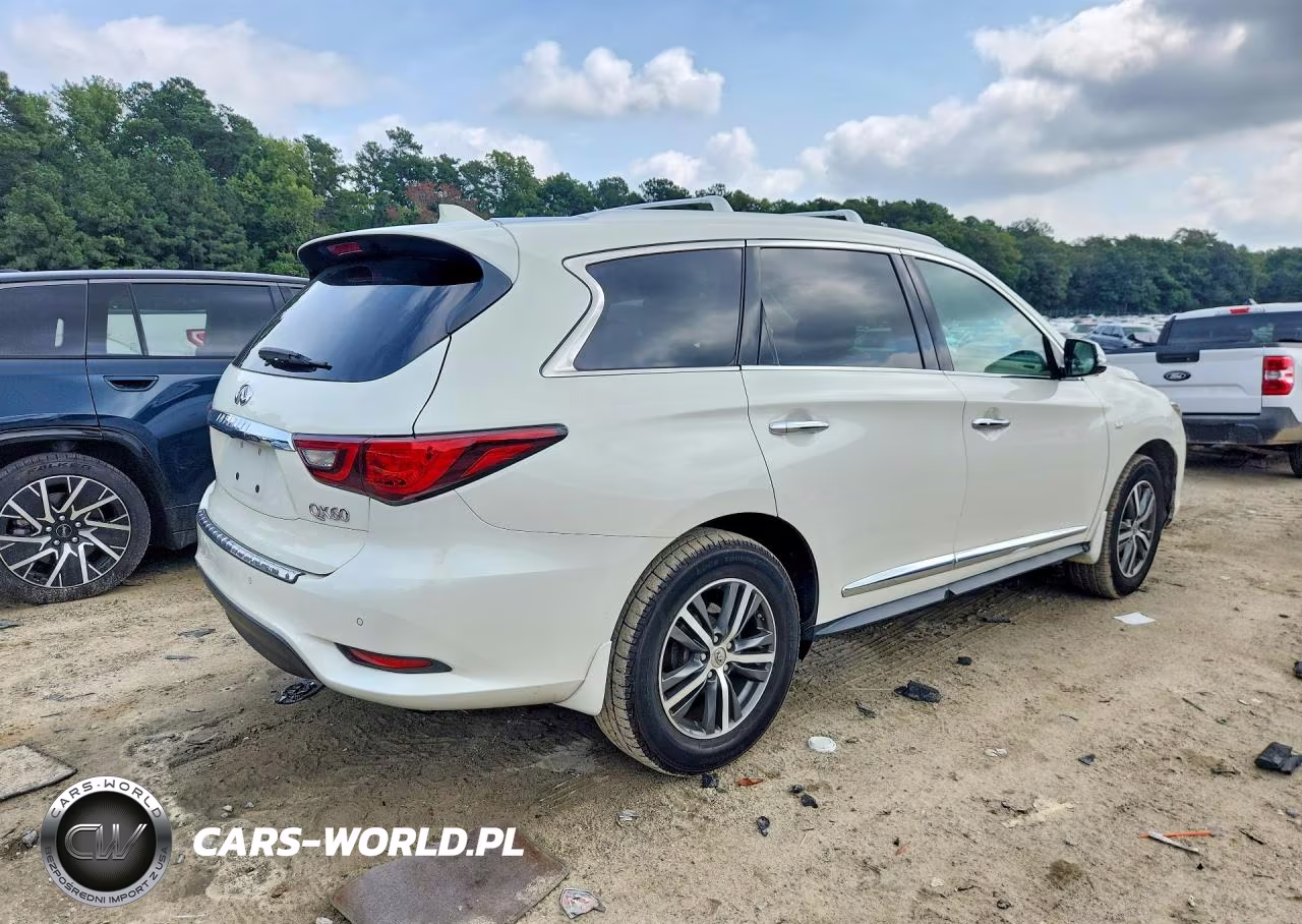 2019 Infiniti Qx60 Luxe VIN:5N1DL0MM3KC508921 - 3