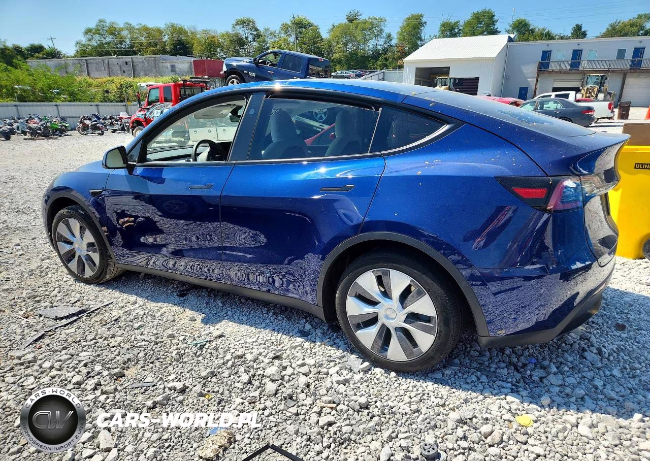 2024 Tesla Model Y VIN:7SAYGDEE5RA278417 - 2