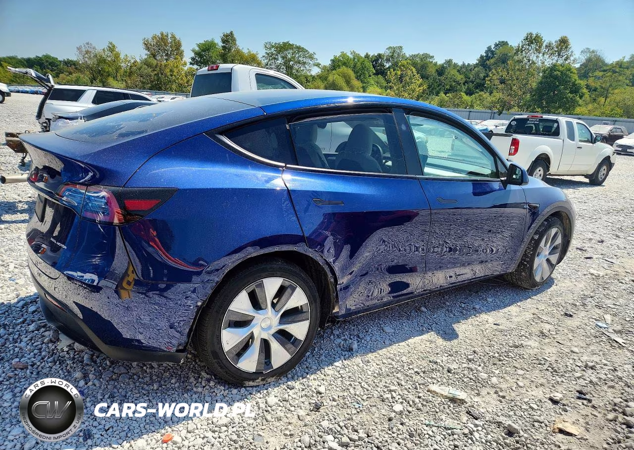 2024 Tesla Model Y VIN:7SAYGDEE5RA278417 - 3