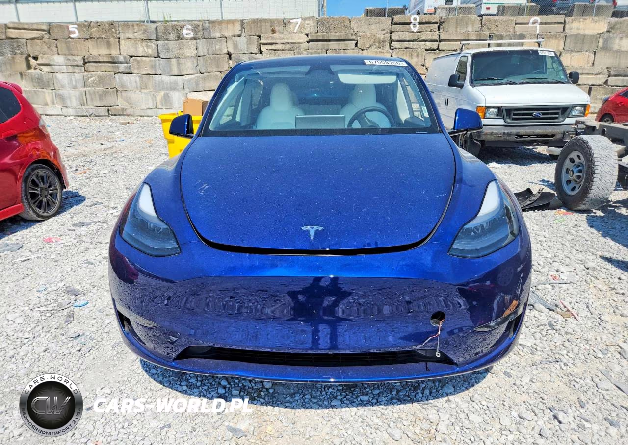 2024 Tesla Model Y VIN:7SAYGDEE5RA278417 - 5
