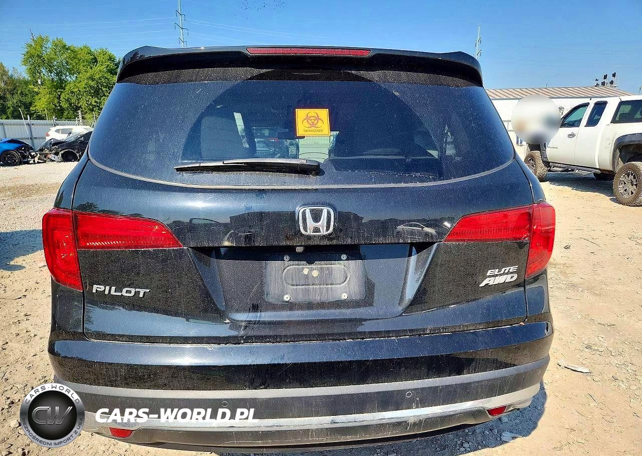 2018 Honda Pilot Elite VIN:5FNYF6H07JB060739 - 6