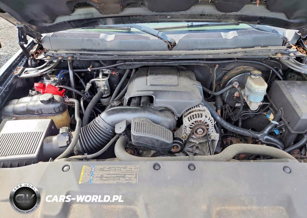 2010 Chevrolet Silverado 1500 VIN:1GCSKREA0AZ107278 - 11