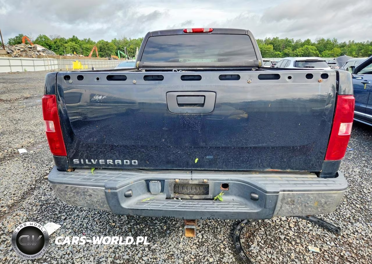 2010 Chevrolet Silverado 1500 VIN:1GCSKREA0AZ107278 - 6