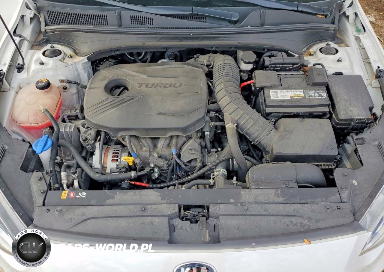 2021 Kia Forte Gt VIN:3KPF44AC8ME413151 - 11
