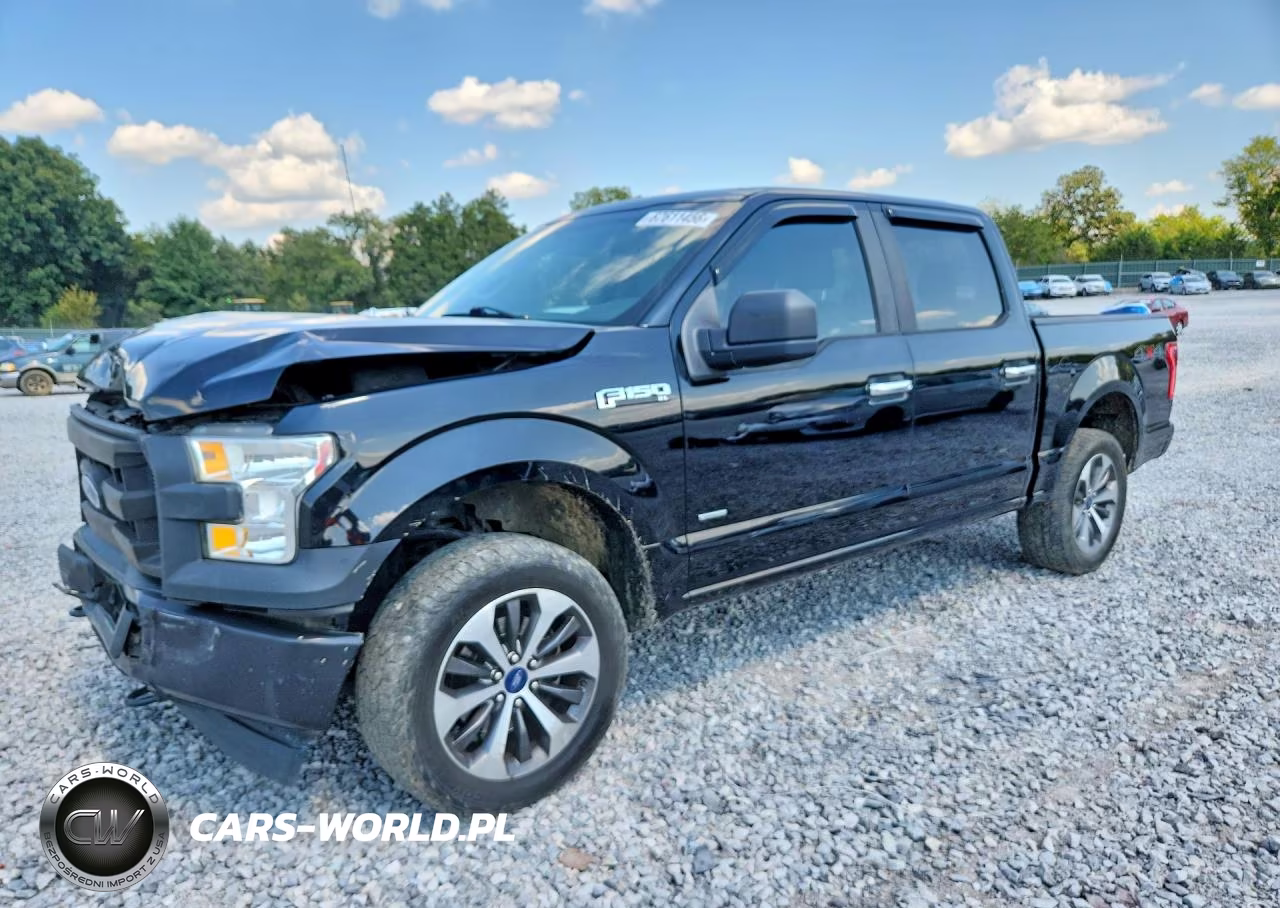 2017 Ford F150 Supercrew VIN:1FTEW1EP8HFC41992 - 1