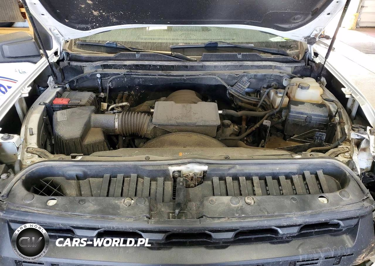2021 Chevrolet Silverado K2500 Heavy Duty VIN:1GC3YLE75MF193682 - 11