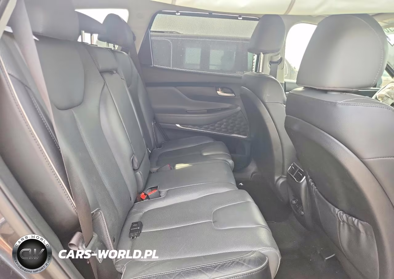 2021 Hyundai Santa Fe Limited VIN:5NMS4DAL6MH369626 - 10