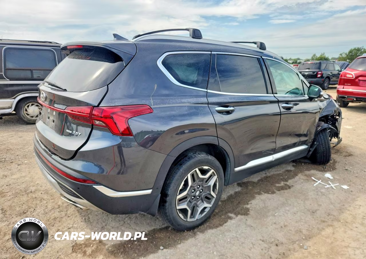 2021 Hyundai Santa Fe Limited VIN:5NMS4DAL6MH369626 - 3