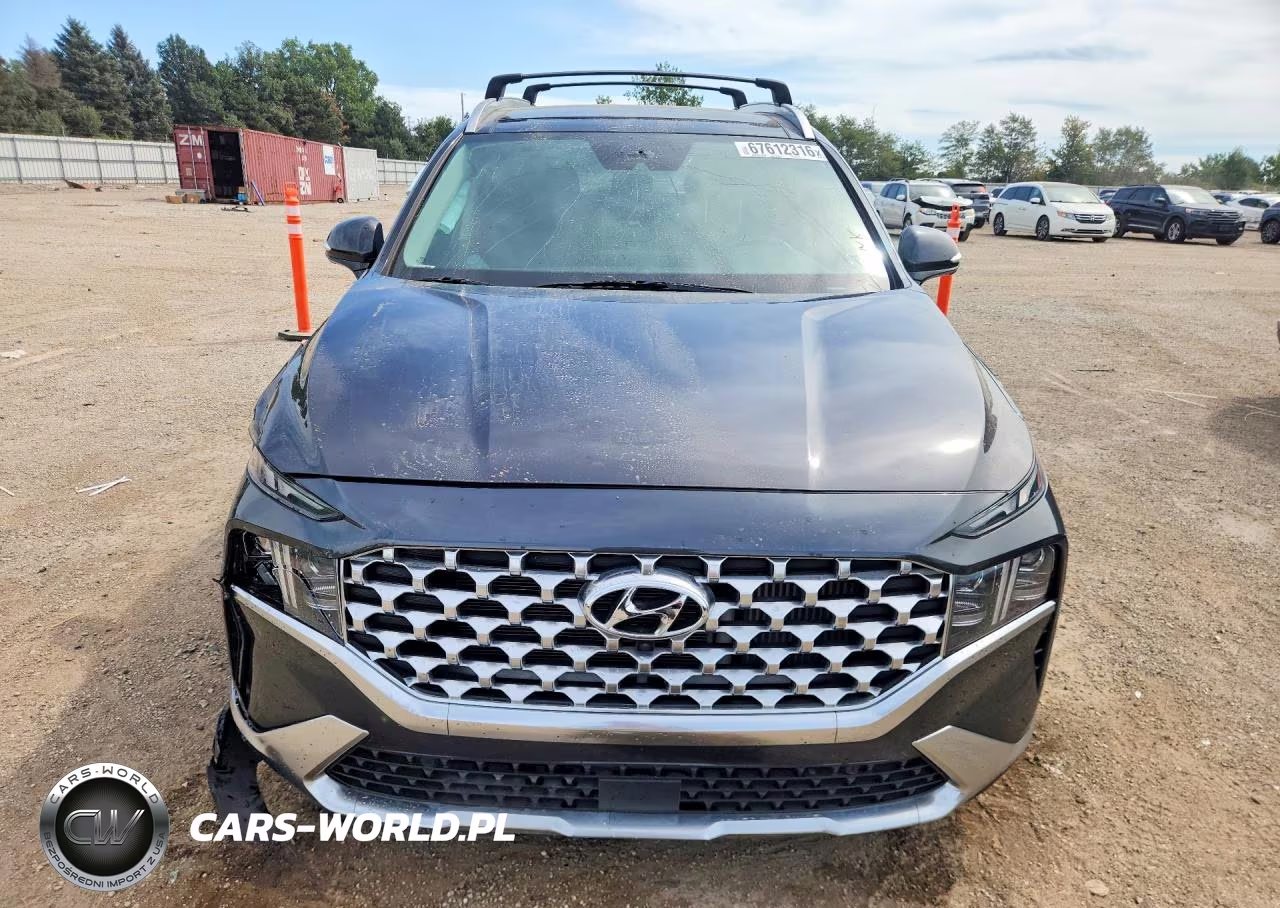 2021 Hyundai Santa Fe Limited VIN:5NMS4DAL6MH369626 - 5