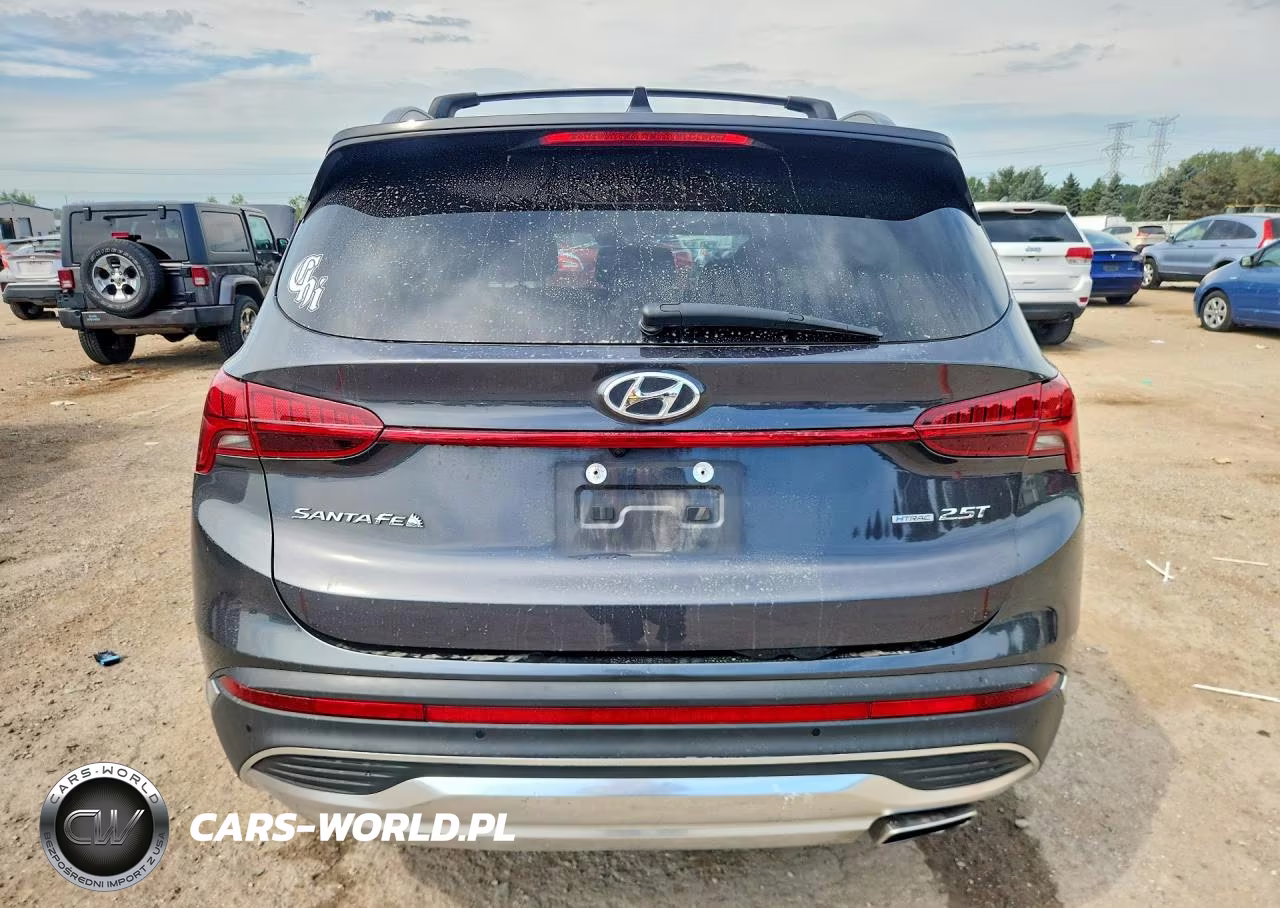 2021 Hyundai Santa Fe Limited VIN:5NMS4DAL6MH369626 - 6