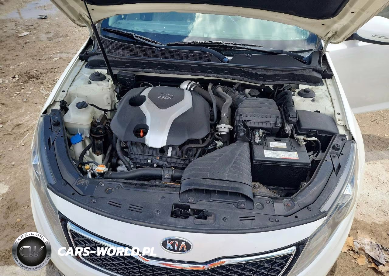 2011 Kia Optima Ex Turbo VIN:KNAGN4A63B5142131 - 11
