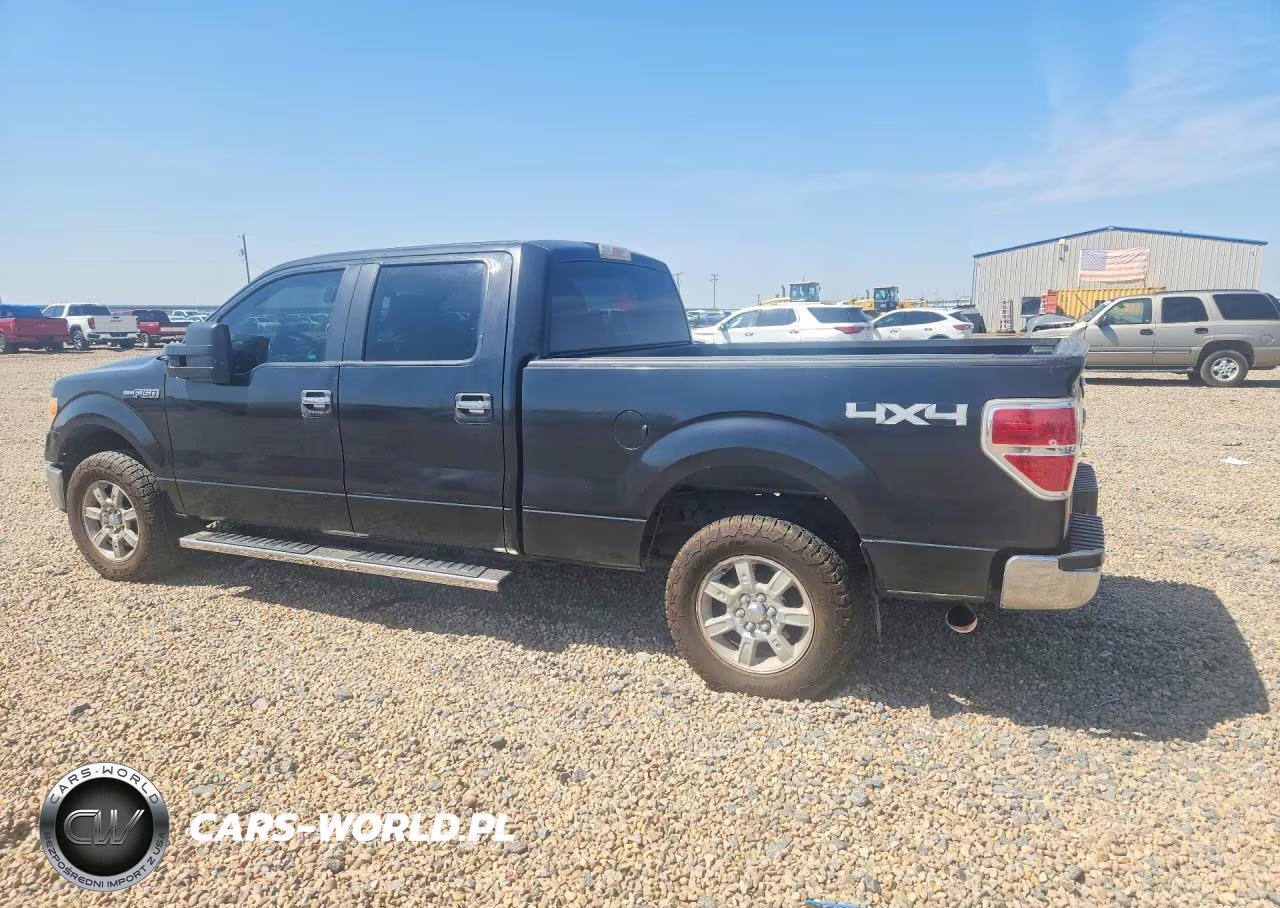 2010 Ford F150 Supercrew VIN:1FTFW1EV6AFD75120 - 2