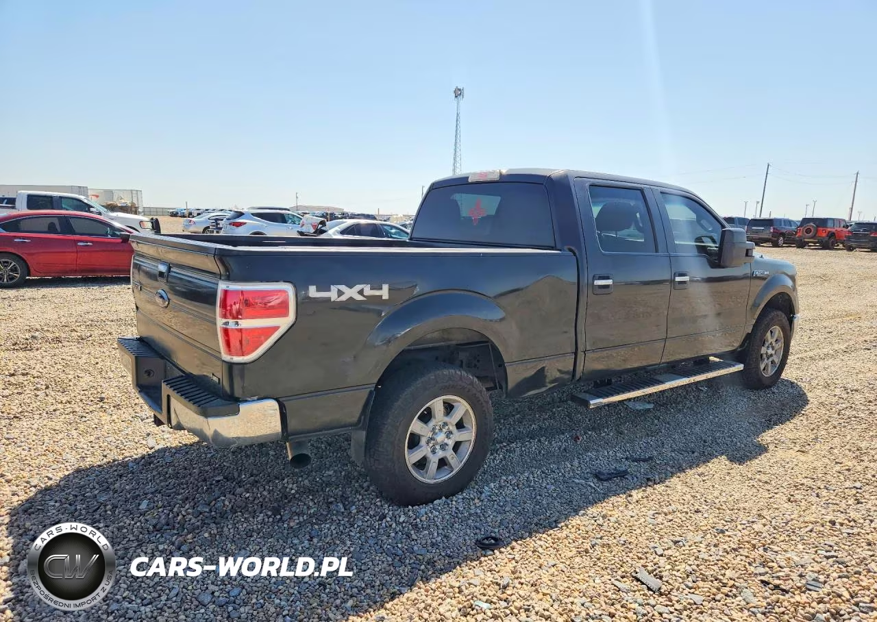 2010 Ford F150 Supercrew VIN:1FTFW1EV6AFD75120 - 3