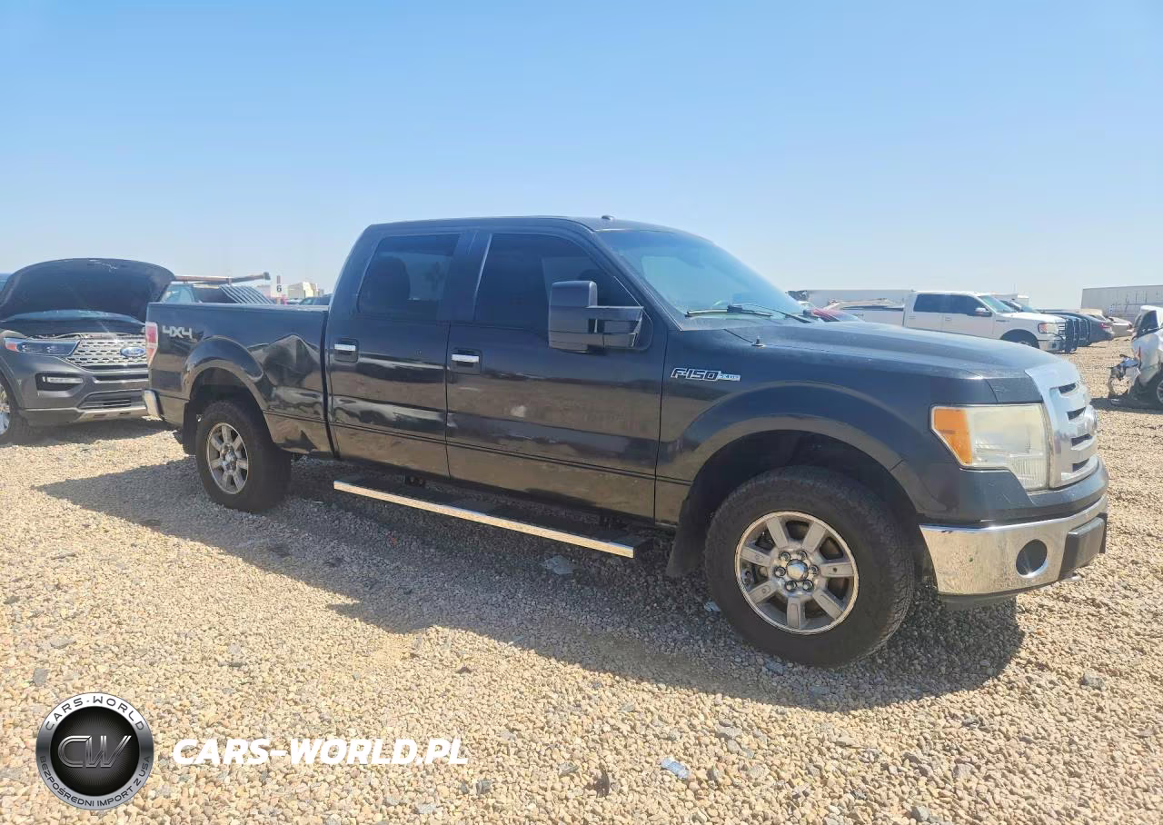 2010 Ford F150 Supercrew VIN:1FTFW1EV6AFD75120 - 4