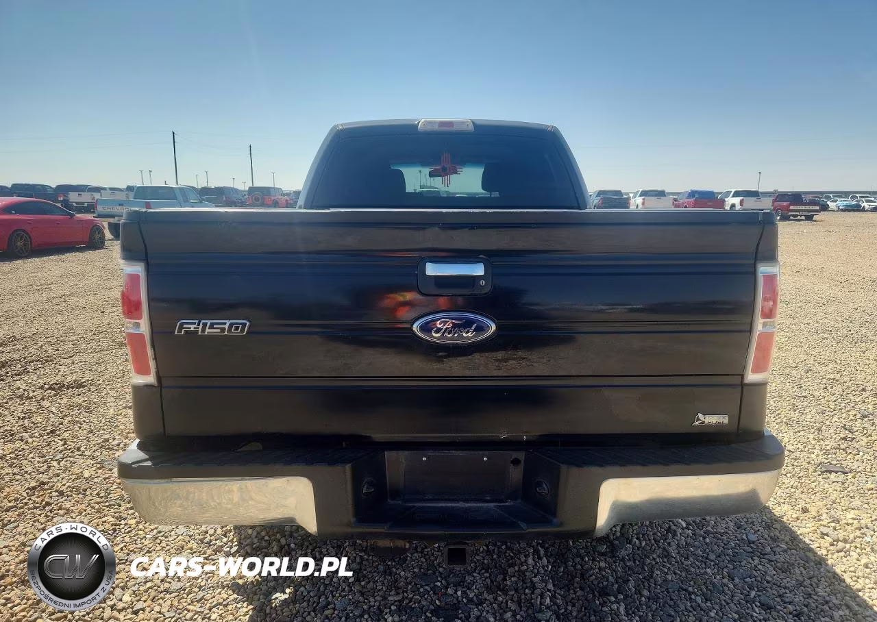 2010 Ford F150 Supercrew VIN:1FTFW1EV6AFD75120 - 6