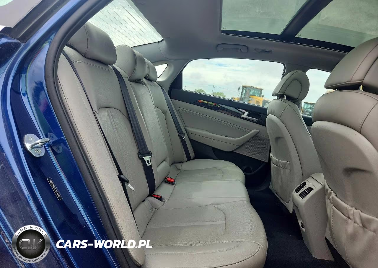 2016 Hyundai Sonata Limited VIN:5NPE34AF0GH264940 - 10