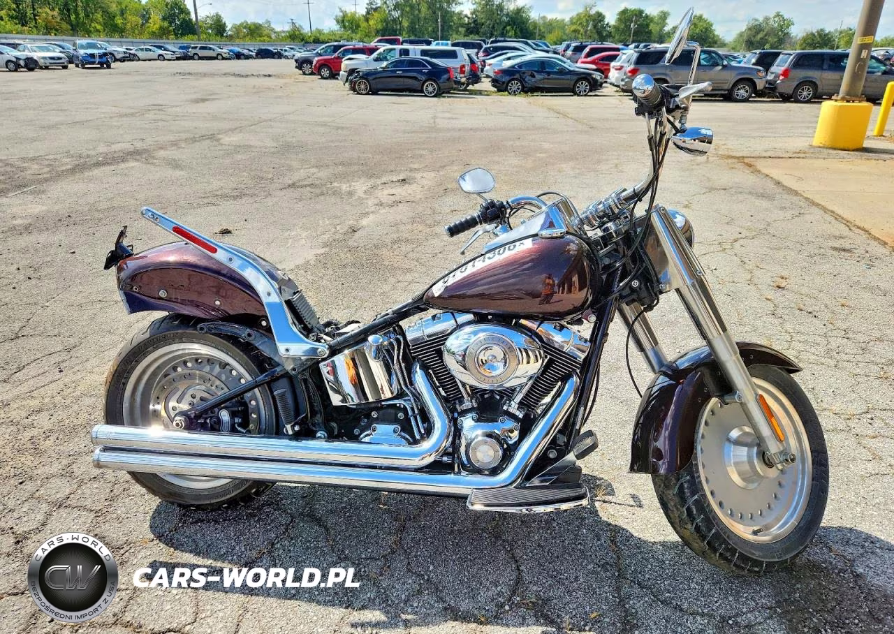 2008 Harley-Davidson Flstf