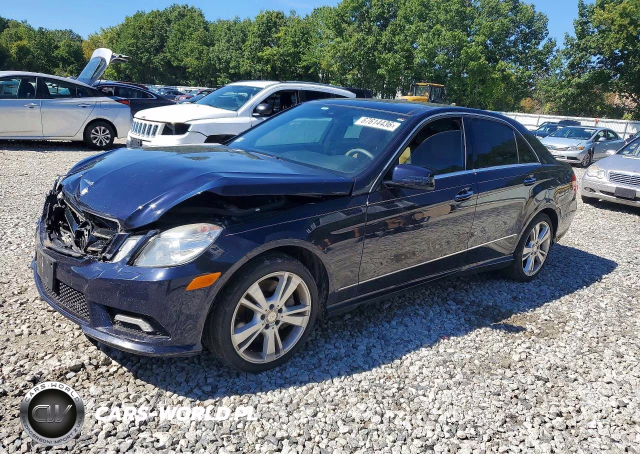 2010 Mercedes-Benz E 550 4Matic VIN:WDDHF9AB5AA159958 - 1