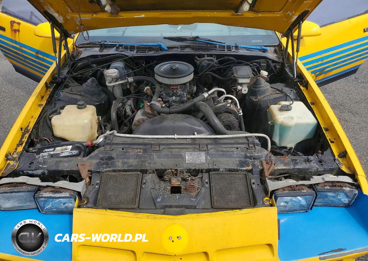 1984 Chevrolet Camaro VIN:1G1AP87H2EN119441 - 11