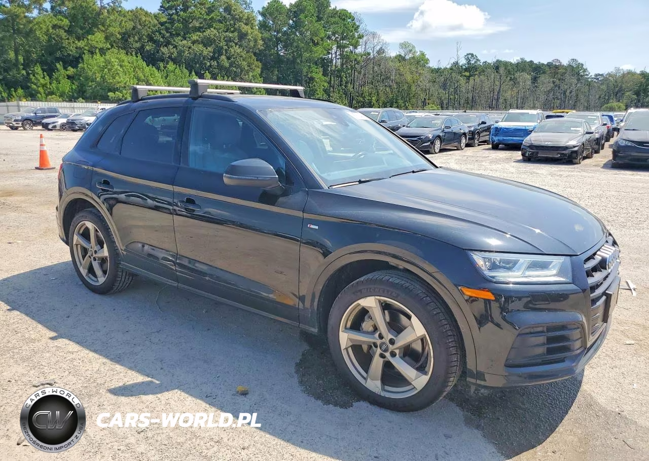 2020 Audi Q5 Titanium Premium Plus VIN:WA1ENAFY6L2097850 - 4